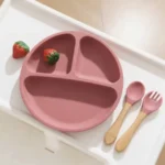 Silicone Suction Plate with Spoon