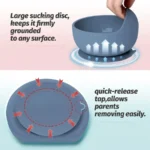 Silicone Baby Feeding Bowl with Spoon
